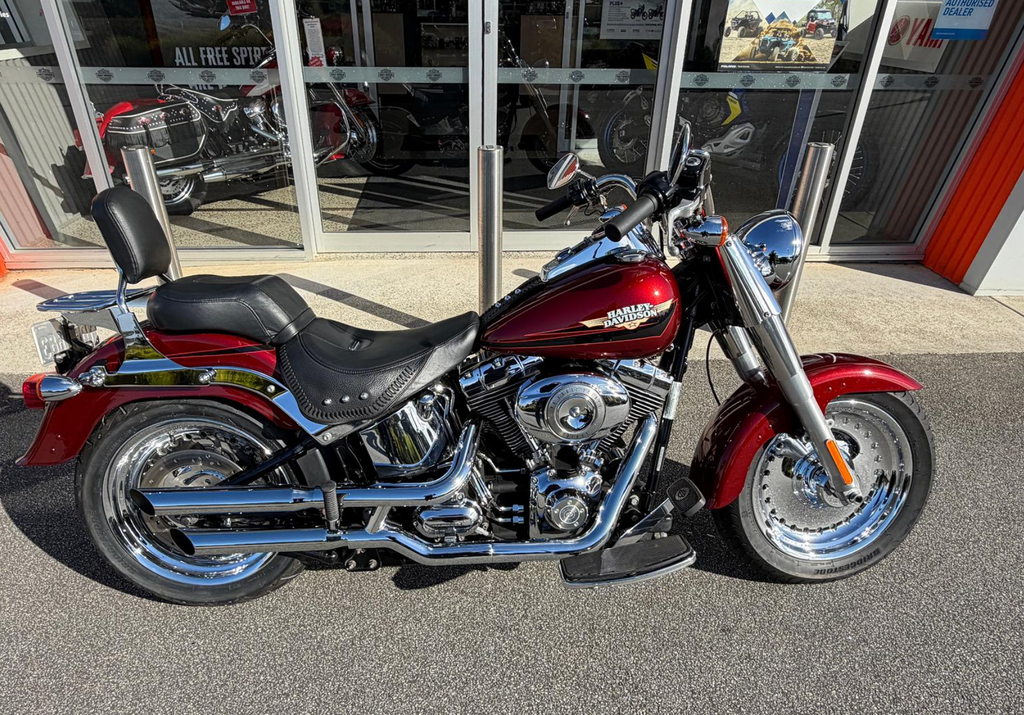 2008 Harley-Davidson Fat Boy 96 (FLSTF)
