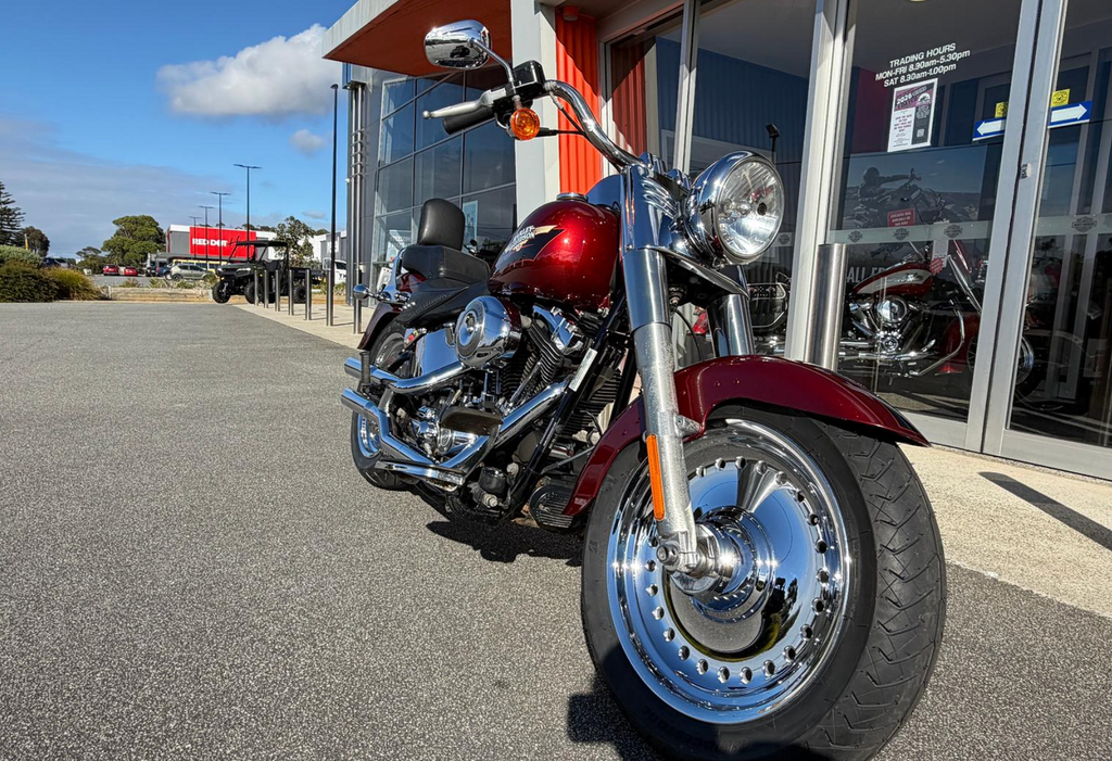 2008 Harley-Davidson Fat Boy 96 (FLSTF)