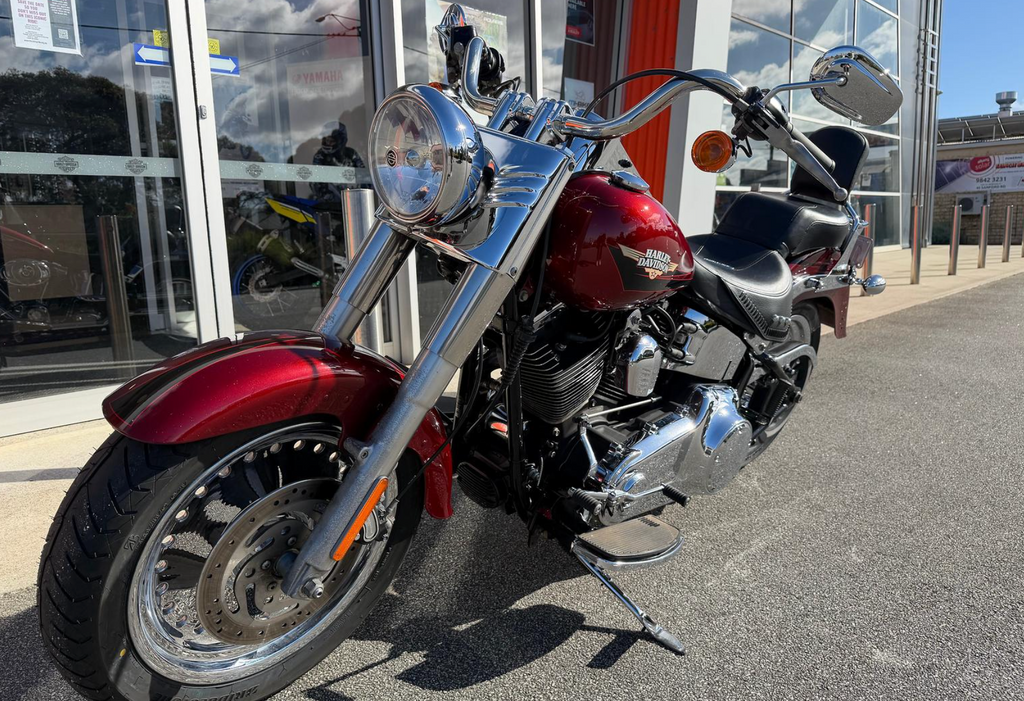 2008 Harley-Davidson Fat Boy 96 (FLSTF)